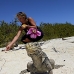 iguana_cuban_jar_v_1726_cub3670.jpg